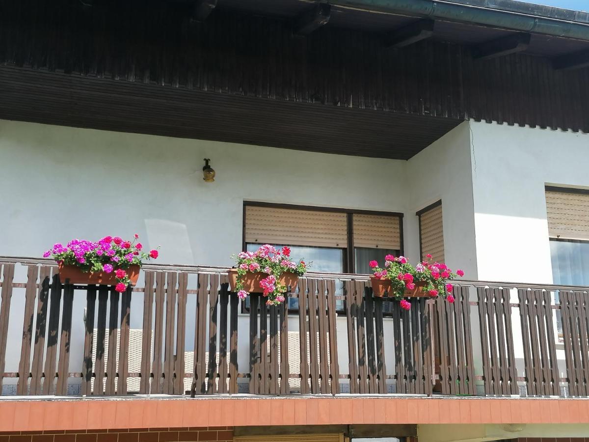 Apartments Novak Ljubno Esterno foto