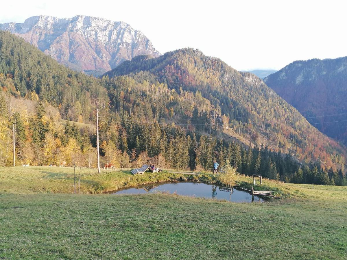 Apartments Novak Ljubno Esterno foto